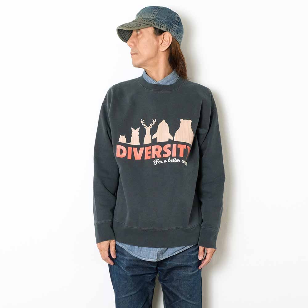 BARNS - ATHLETIC CREW SWEATSHIRT - DIVERSITY - BR-25463