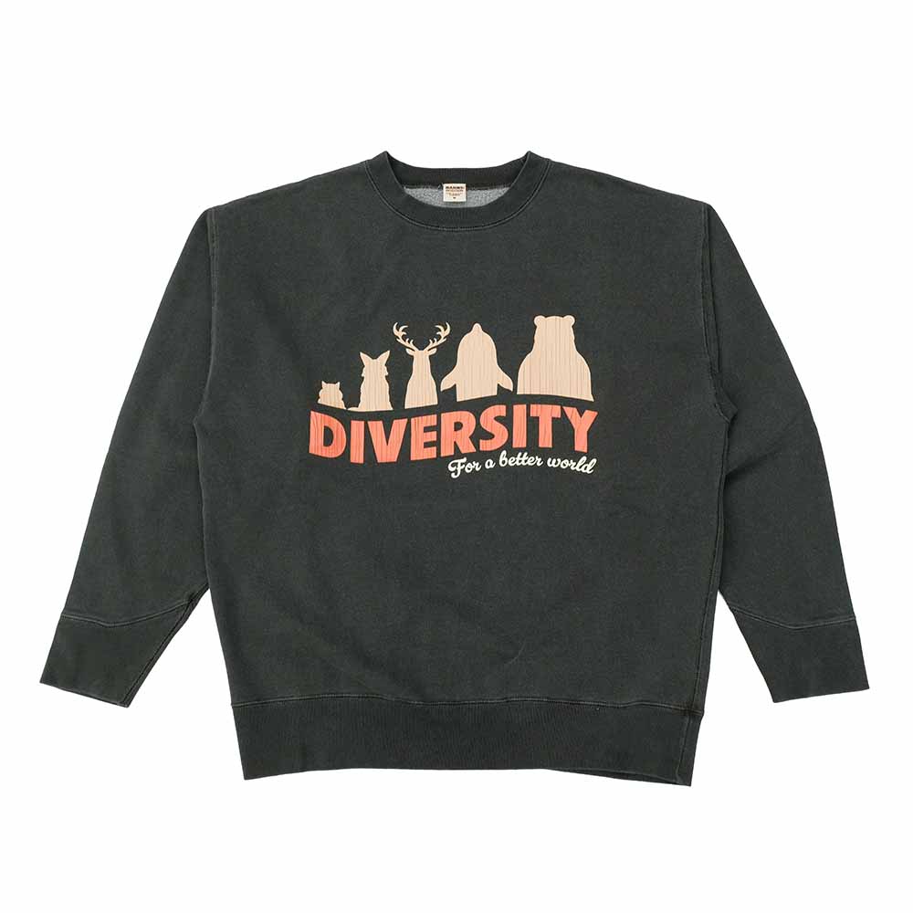 BARNS - ATHLETIC CREW SWEATSHIRT - DIVERSITY - BR-25463