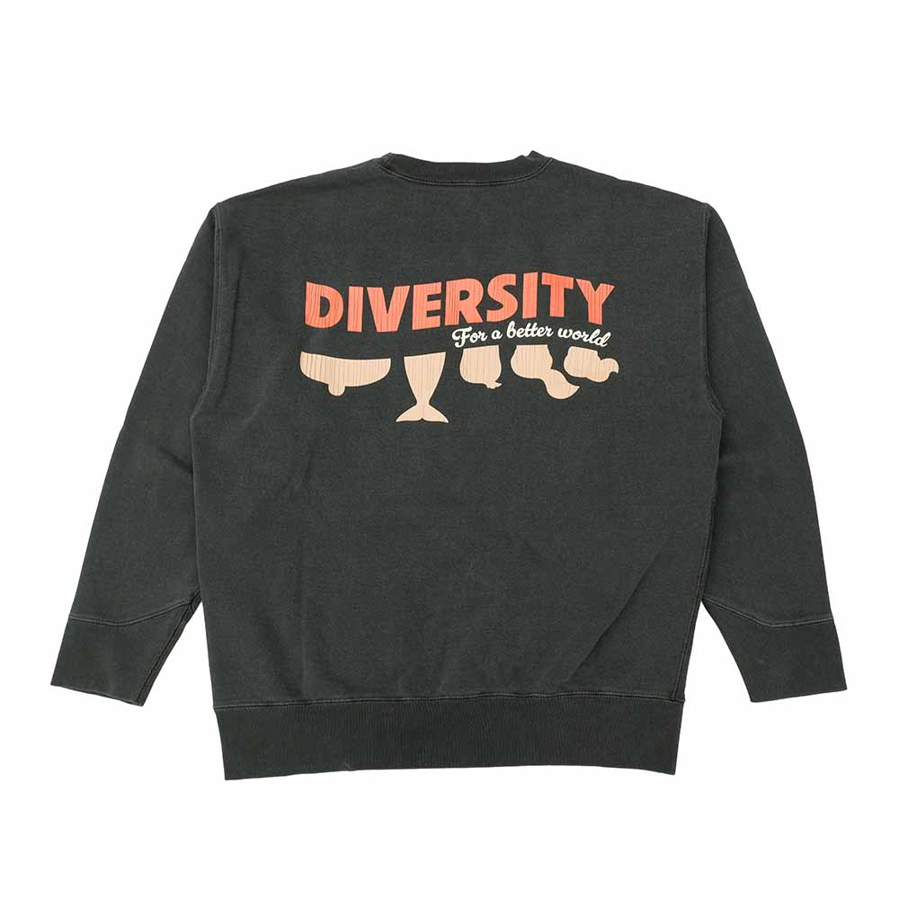 BARNS - ATHLETIC CREW SWEATSHIRT - DIVERSITY - BR-25463