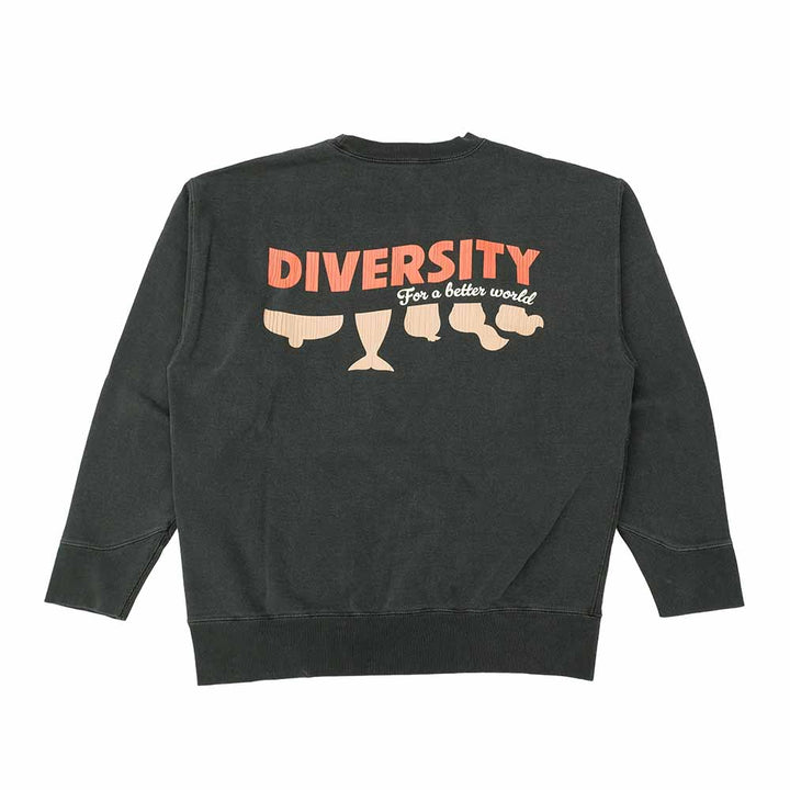 BARNS - ATHLETIC CREW SWEATSHIRT - DIVERSITY - BR-25463